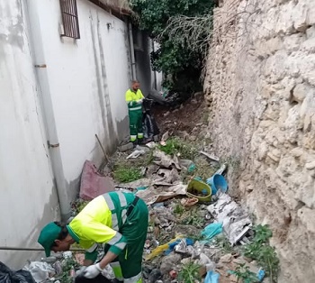 LA CONSEJERA DE MEDIO AMBIENTE EFECTA UNA LIMPIEZA PROFUNDA EN LA PARTE TRASERA DEL MANTELETE