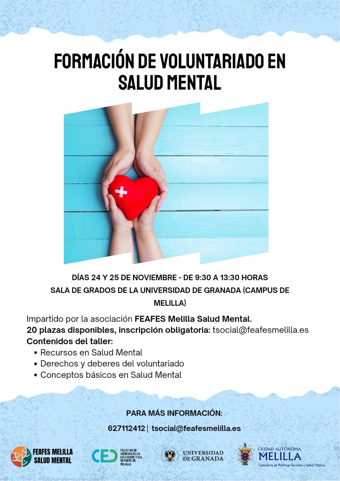 Formacin de Voluntariado en Salud Mental