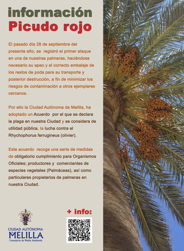 MEDIDAS DE PROTECCI�N CONTRA PLAGAS PRODUCIDAS POR AGENTES NOCIVOS DE LAS PALMERAS (PICUDO ROJO)