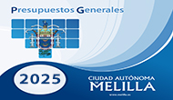 Banner Presupuestos Generales 2025