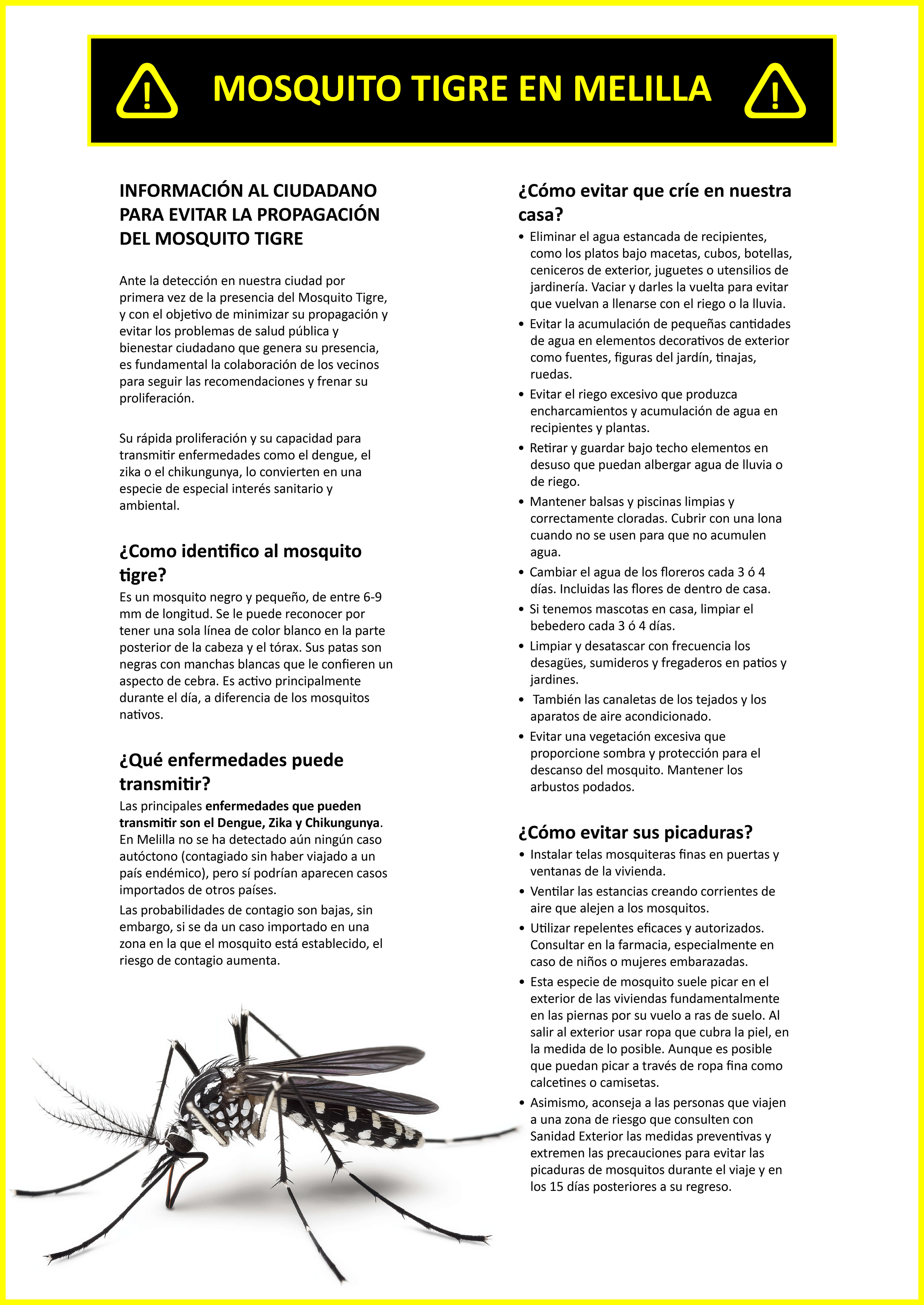 Cartel Campaa informativa para evitar la propagacin del mosquito tigre en Melilla