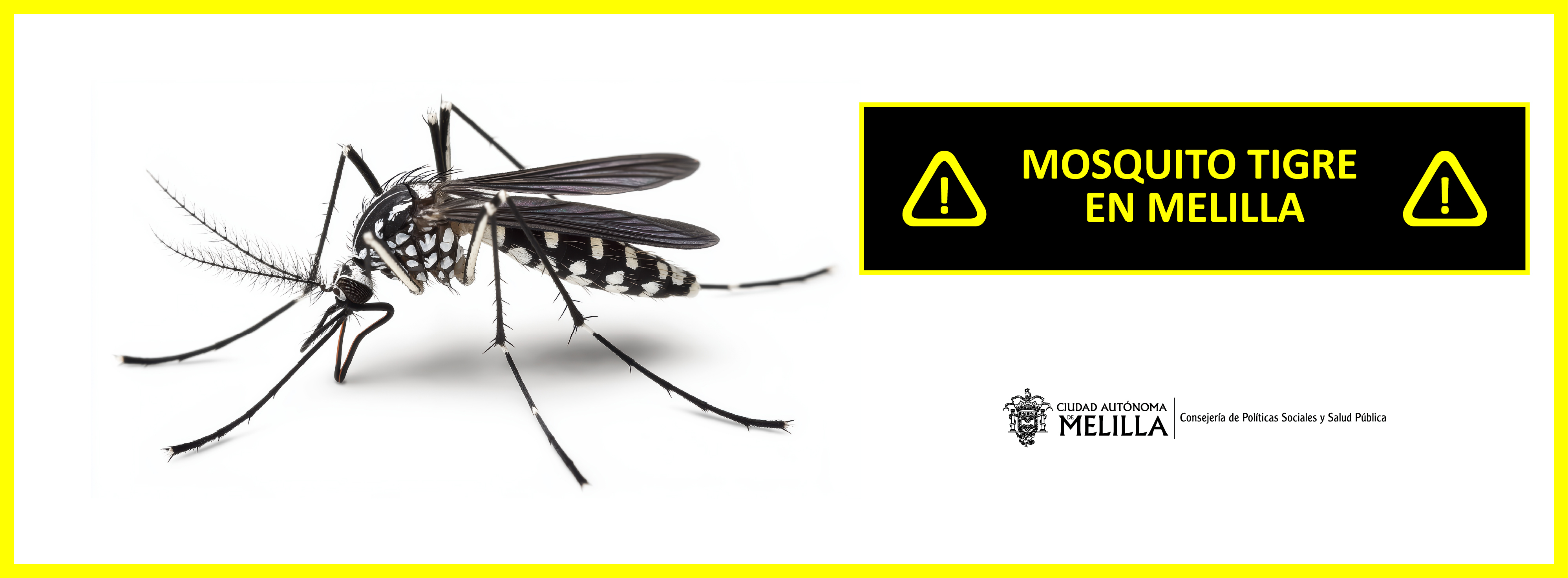 Campaa informativa para evitar la propagacin del mosquito tigre en Melilla