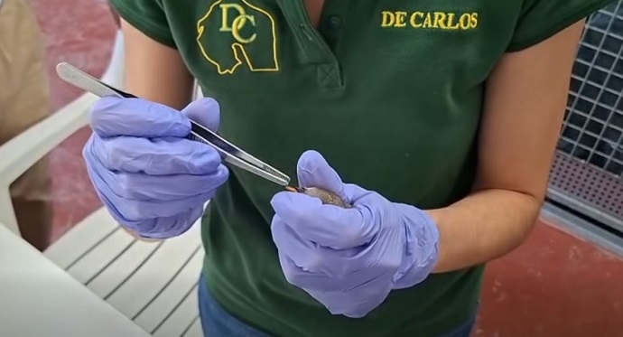 WEB MEDIO AMBIENTE VISITA LAS INSTALACIONES DEL CENTRO DE RECUPERACI�N DE ESPECIES AMENAZADAS