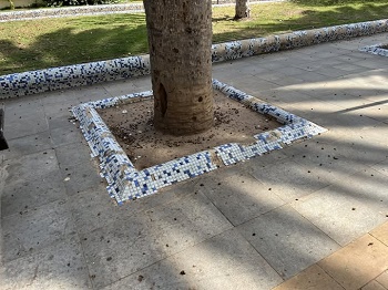 LA CONSEJERA DE MEDIO AMBIENTE ELIMINAR LOS MONTCULOS DE LOS ALCORQUES DEL PARQUE HERNNDEZ