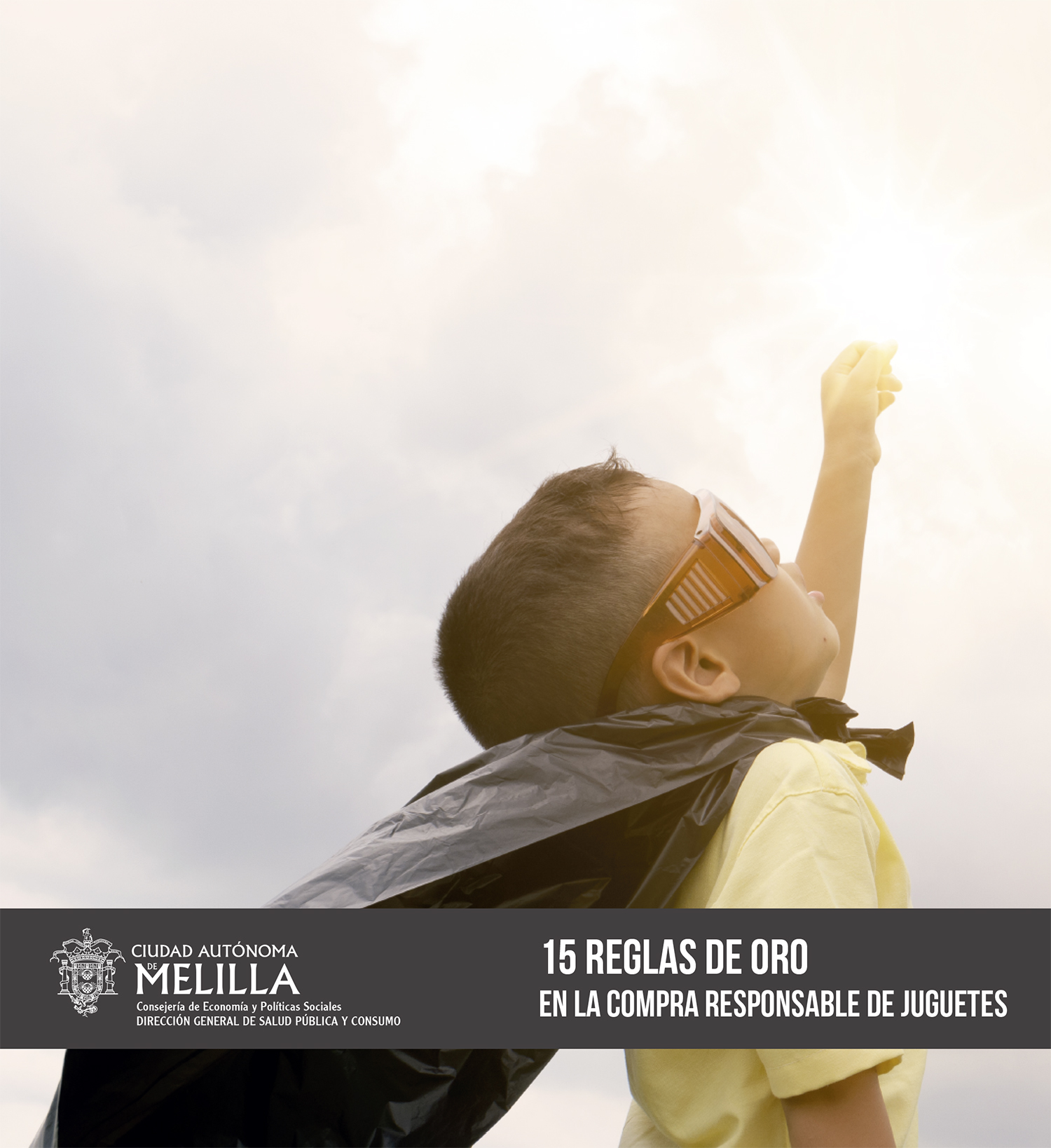 Cartel 15 REGLAS DE ORO EN LA COMPRA RESPONSABLE DE JUGUETES